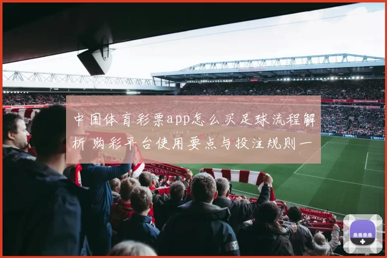 中国体育彩票app怎么买足球流程解析 购彩平台使用要点与投注规则一览