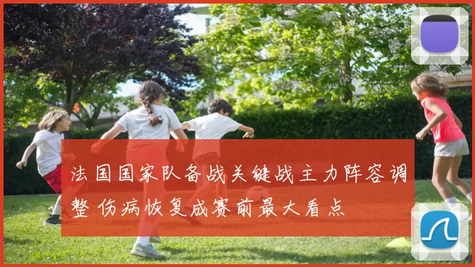 法国国家队备战关键战主力阵容调整 伤病恢复成赛前最大看点