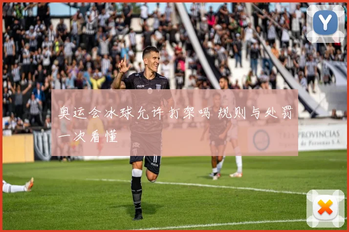 奥运会冰球允许打架吗 规则与处罚一次看懂
