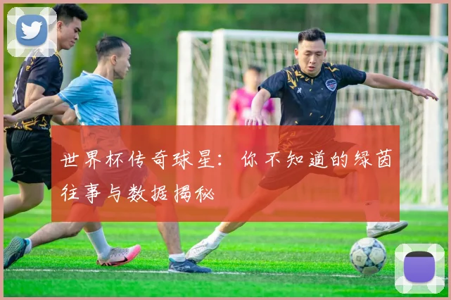 世界杯传奇球星:你不知道的绿茵往事与数据揭秘